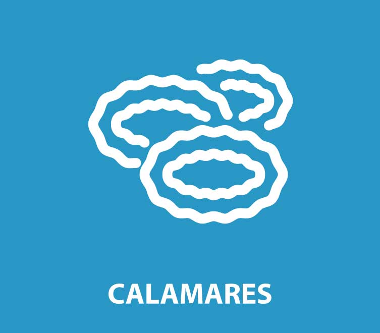 Calamares a la romana